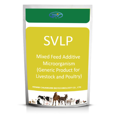 إضافات الأغذية الحيوانية المضافات الحيوانية المختلطة للأغذية الكائنات الدقيقة (المنتج العام للماشية والدواجن)