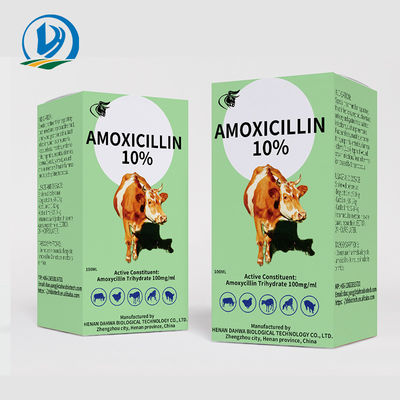 أدوية العجول للطب البيطري 150 ملغ / مل 10٪ أموكسيسيلين الحقن العضلي