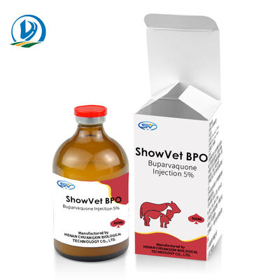 Buparvaquone حقن 5 ٪ أدوية بيطرية عن طريق الحقن لعجول الماشية الأغنام الماعز والكلاب والقطط