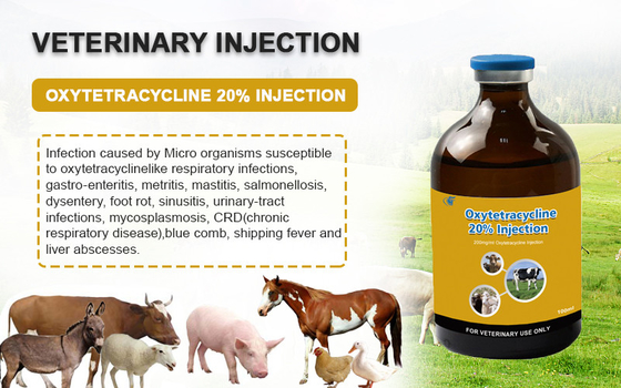 الأدوية البيطرية القابلة للحقن Oxytetracycline HCl 20٪ حقن للماشية الأغنام الماعز الكلاب الأدوية الحيوانية