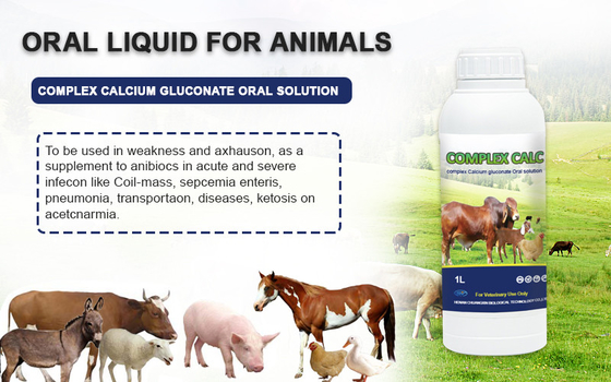 مجمع محلول فموي محلول جلوكونات الكالسيوم عن طريق الفم لخيول الأغنام الماشية