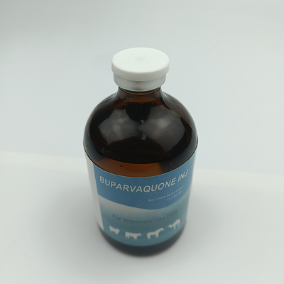 GMP الأدوية البيطرية القابلة للحقن Buparvaquone 50mg / Ml للماشية العجول الأغنام الماعز الكلاب القطط