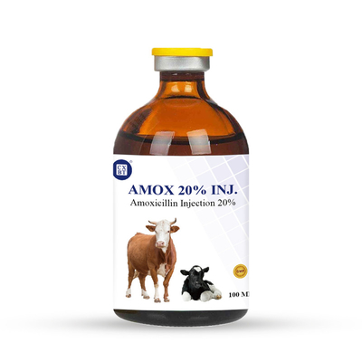 20٪ 100 مللي أدوية مضادة للطفيليات البيطرية حقن أموكسيسيلين لعدوى الماشية